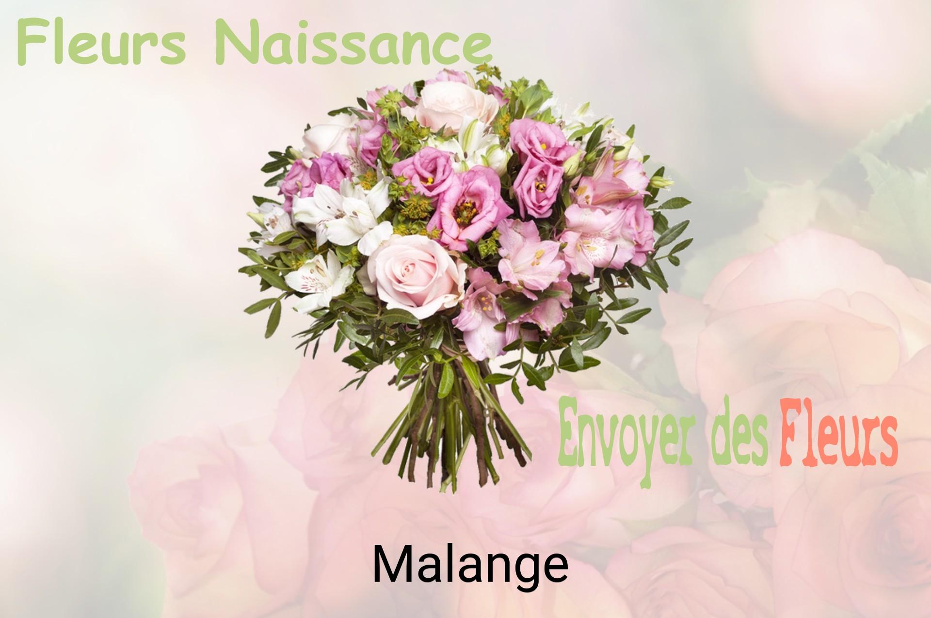 Bouquet de fleurs de naissance livré à Malange
