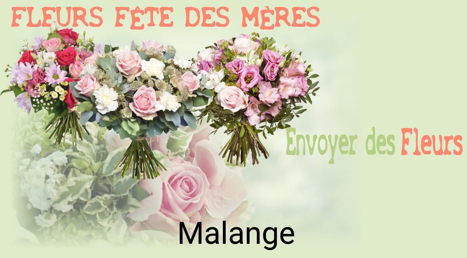 Bouquet de Fête des Mères livré à Malange